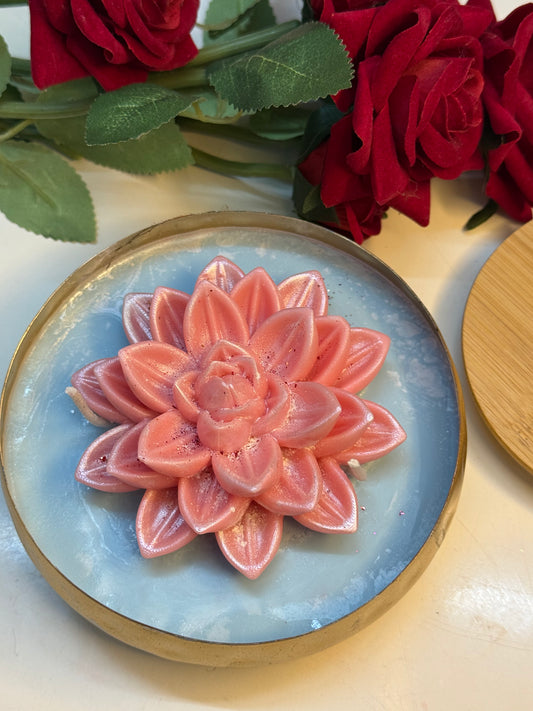 Lotus golden urli